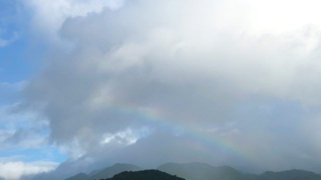 裏山に虹が掛かりました