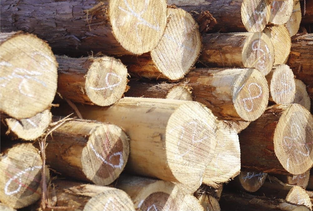 商品棚・ディスプレイ台のオーダーメード事例 | オシャレな陳列を叶える【木製の店舗什器】