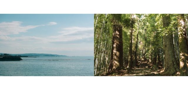 【近畿・東海】これから家を建てる方は必見!家具プレゼントキャンペーンのお知らせ https://mokuharu.jp/app/wp-content/uploads/2024/08/5bee748f6ad6394de4cffc2a8bfeac13.jpg 【近畿・東海】これから家を建てる方は必見!家具プレゼントキャンペーンのお知らせ