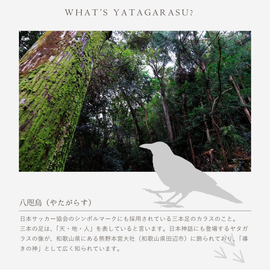 ヒノキ 鍋敷き＆コースター 二枚セット 結