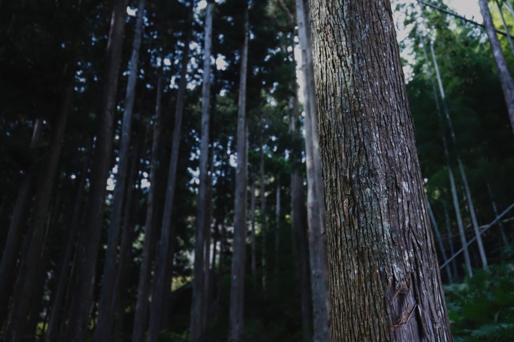 ハウスメーカー・工務店向けノベルティ | 来場特典や成約記念品の事例紹介