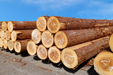 ハウスメーカー・工務店向けノベルティ | 来場特典や成約記念品の事例紹介