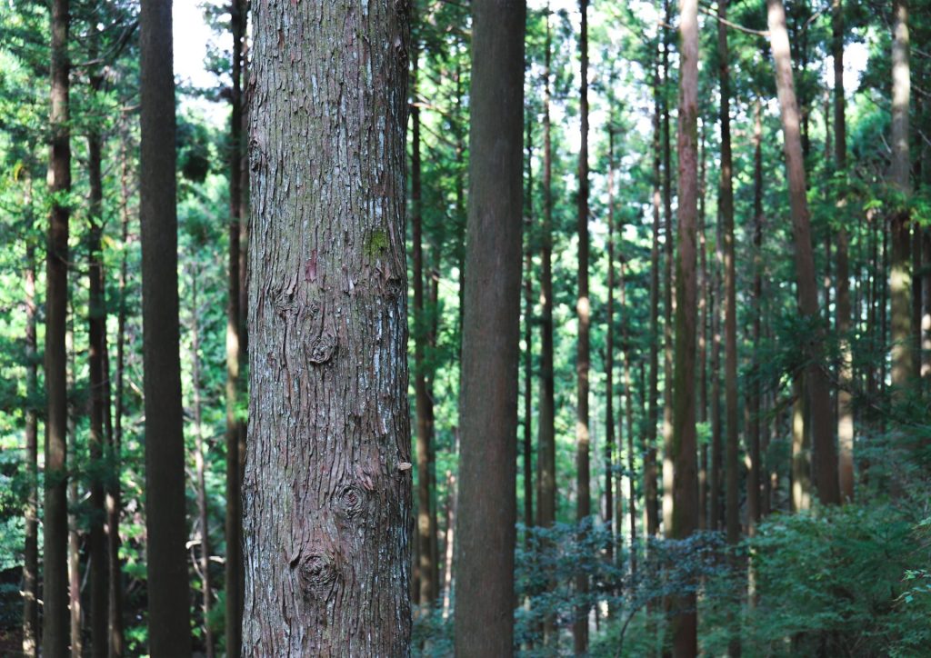 ハウスメーカー・工務店向けノベルティ | 来場特典や成約記念品の事例紹介